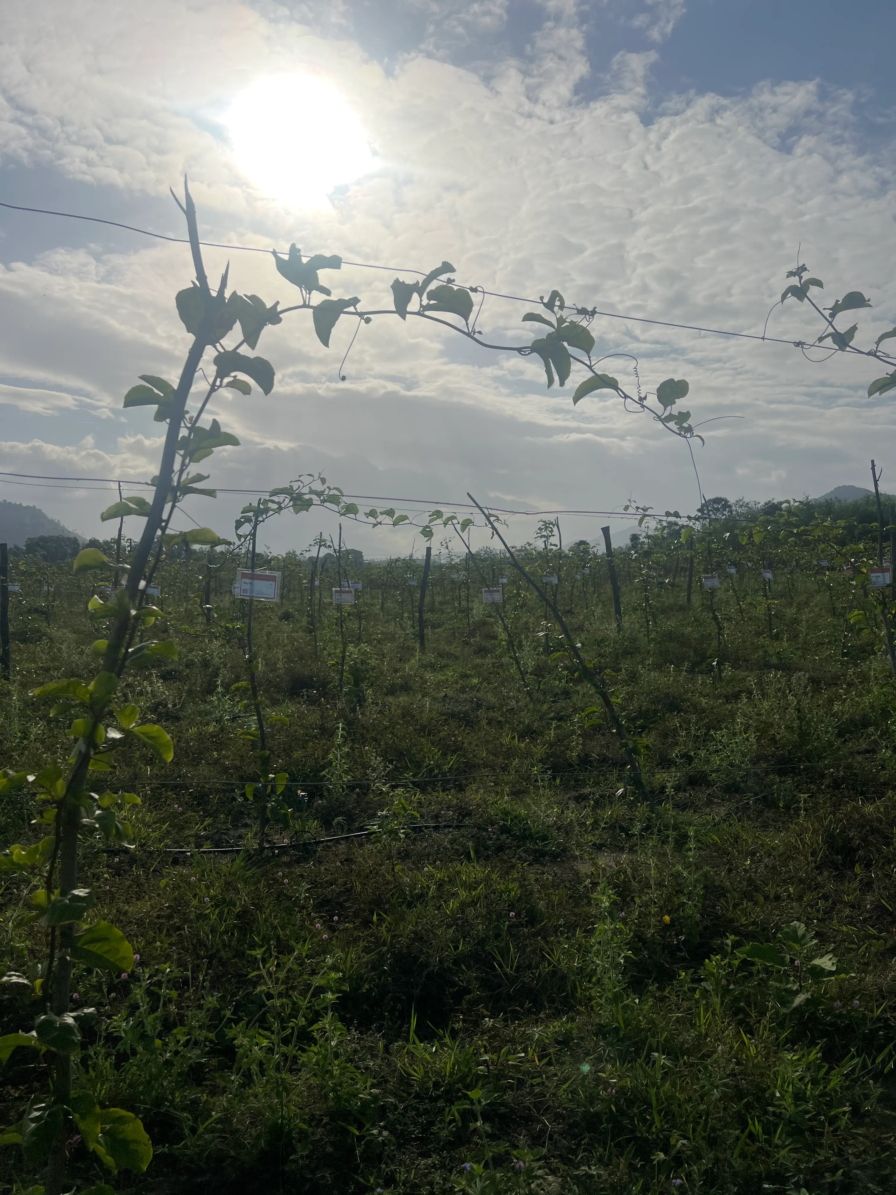 EcoNations