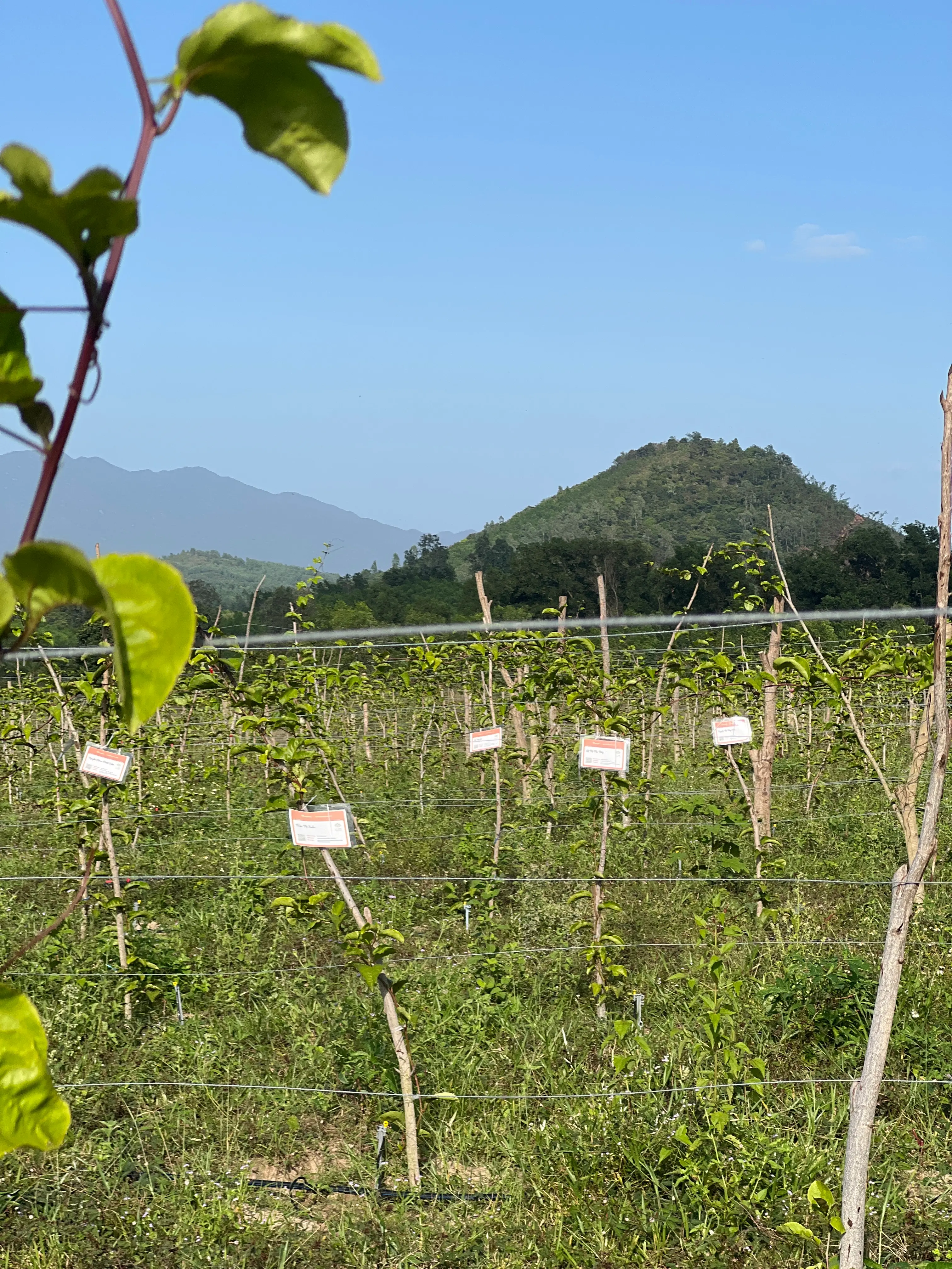 EcoNations