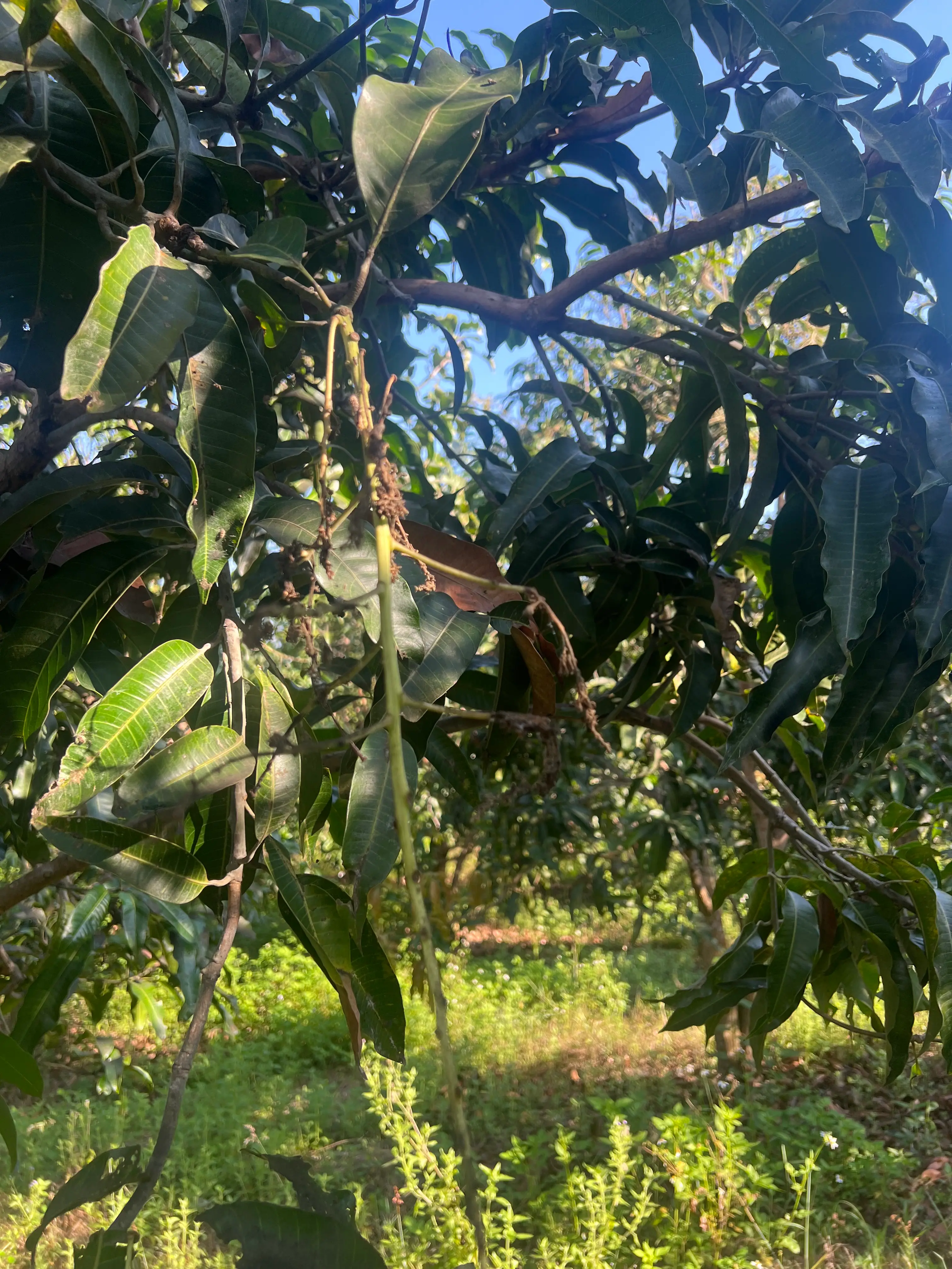 EcoNations