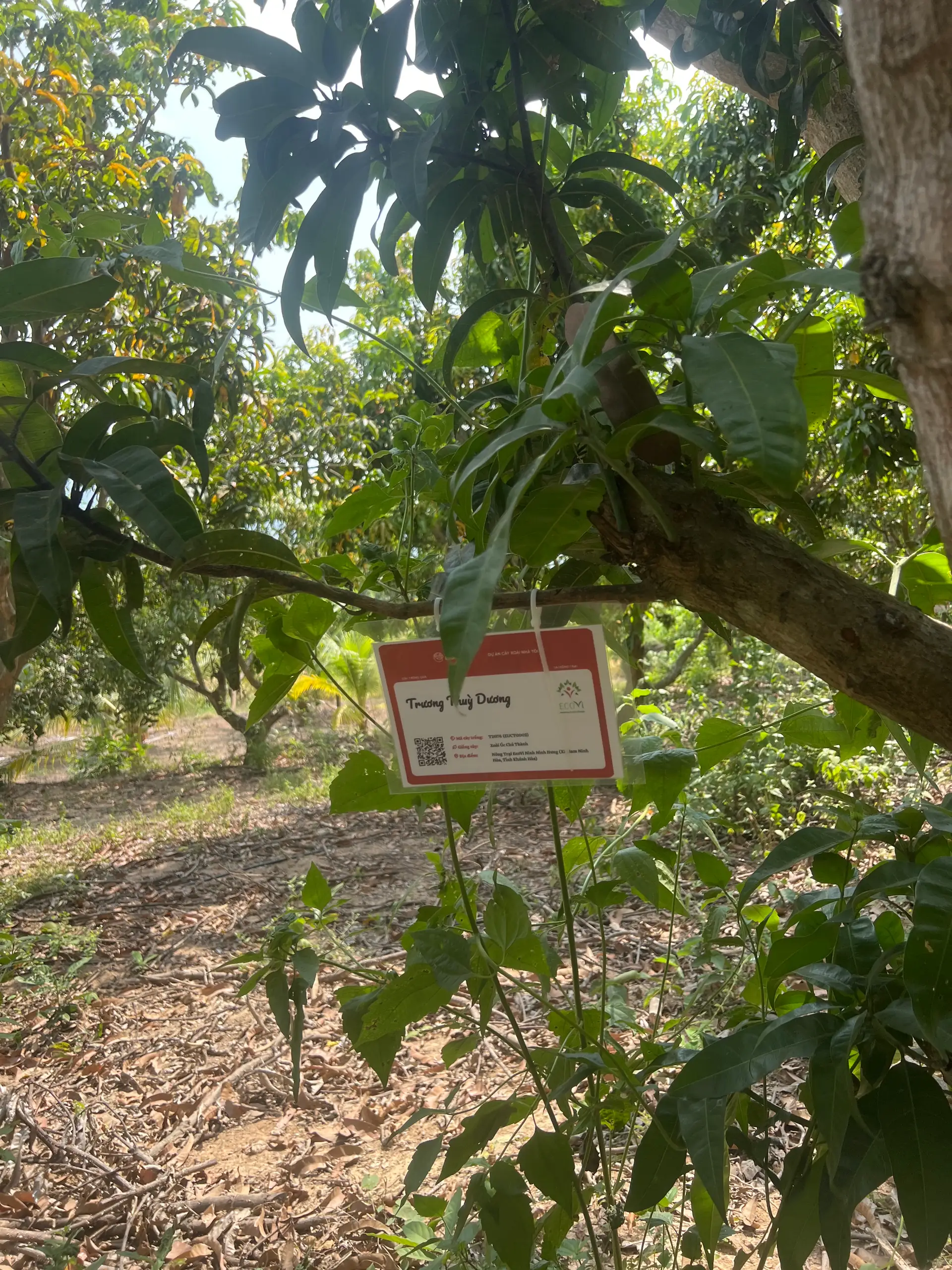 EcoNations