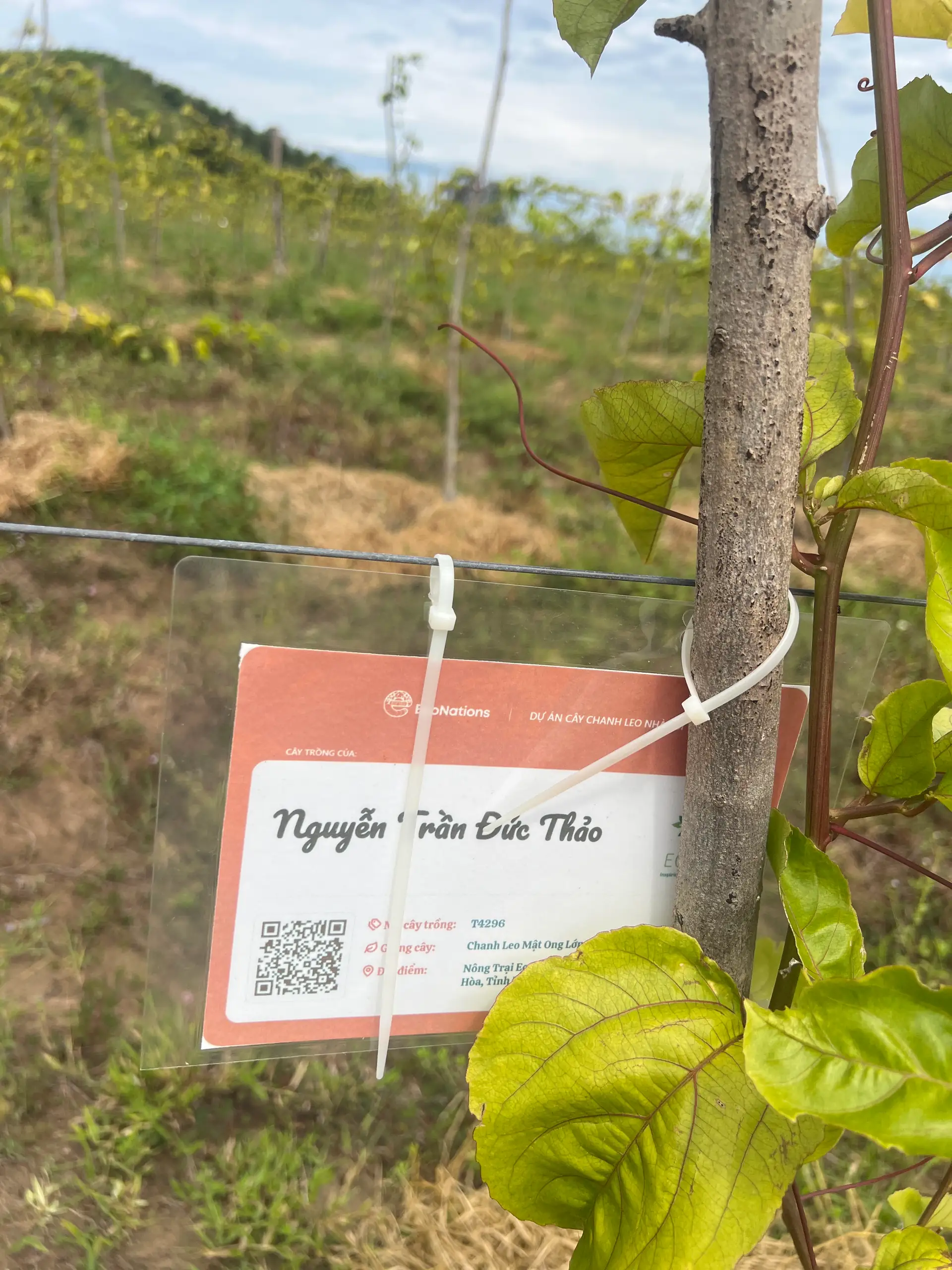 EcoNations