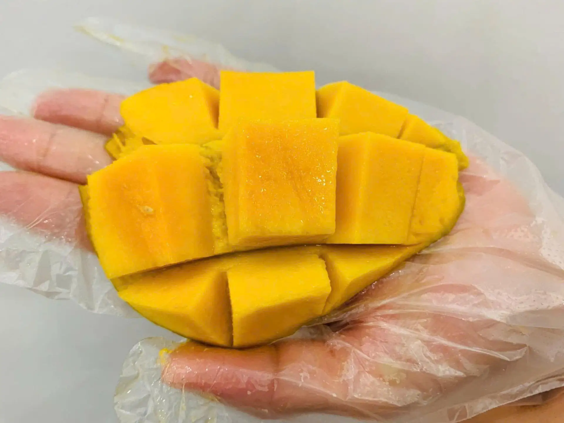 Xoài Cổ Khánh Hòa