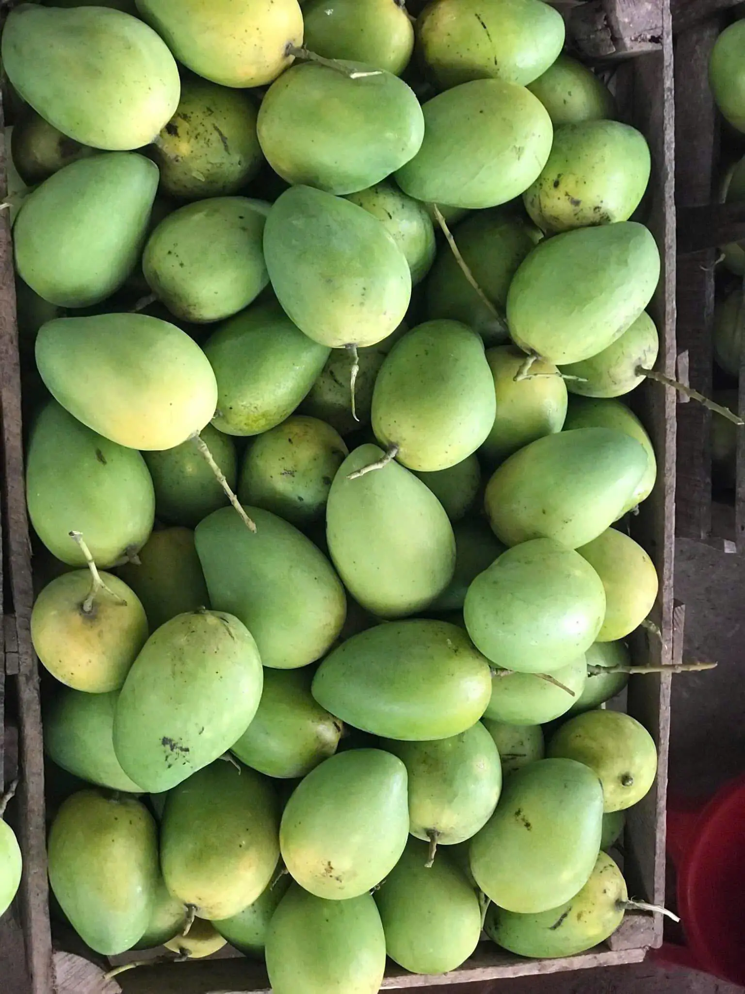 Xoài Cổ Khánh Hòa