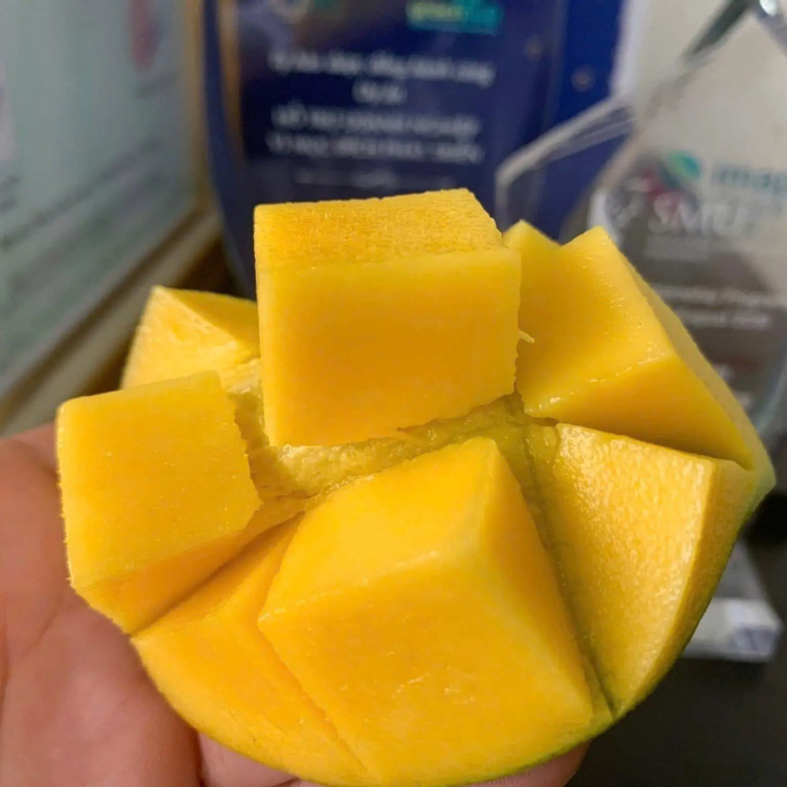 Xoài Cổ Khánh Hòa