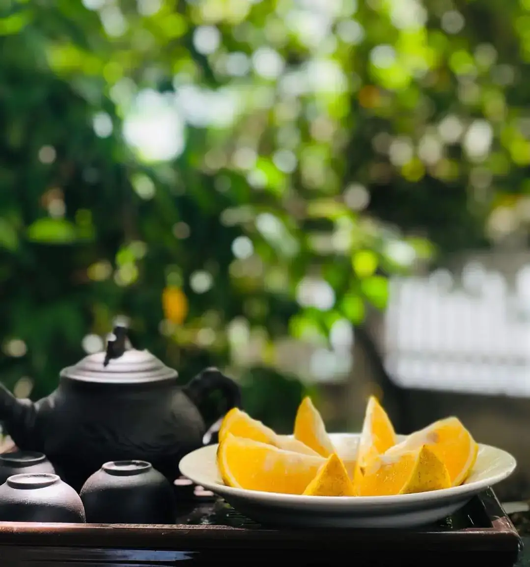 Cây Cam Nhà Tôi