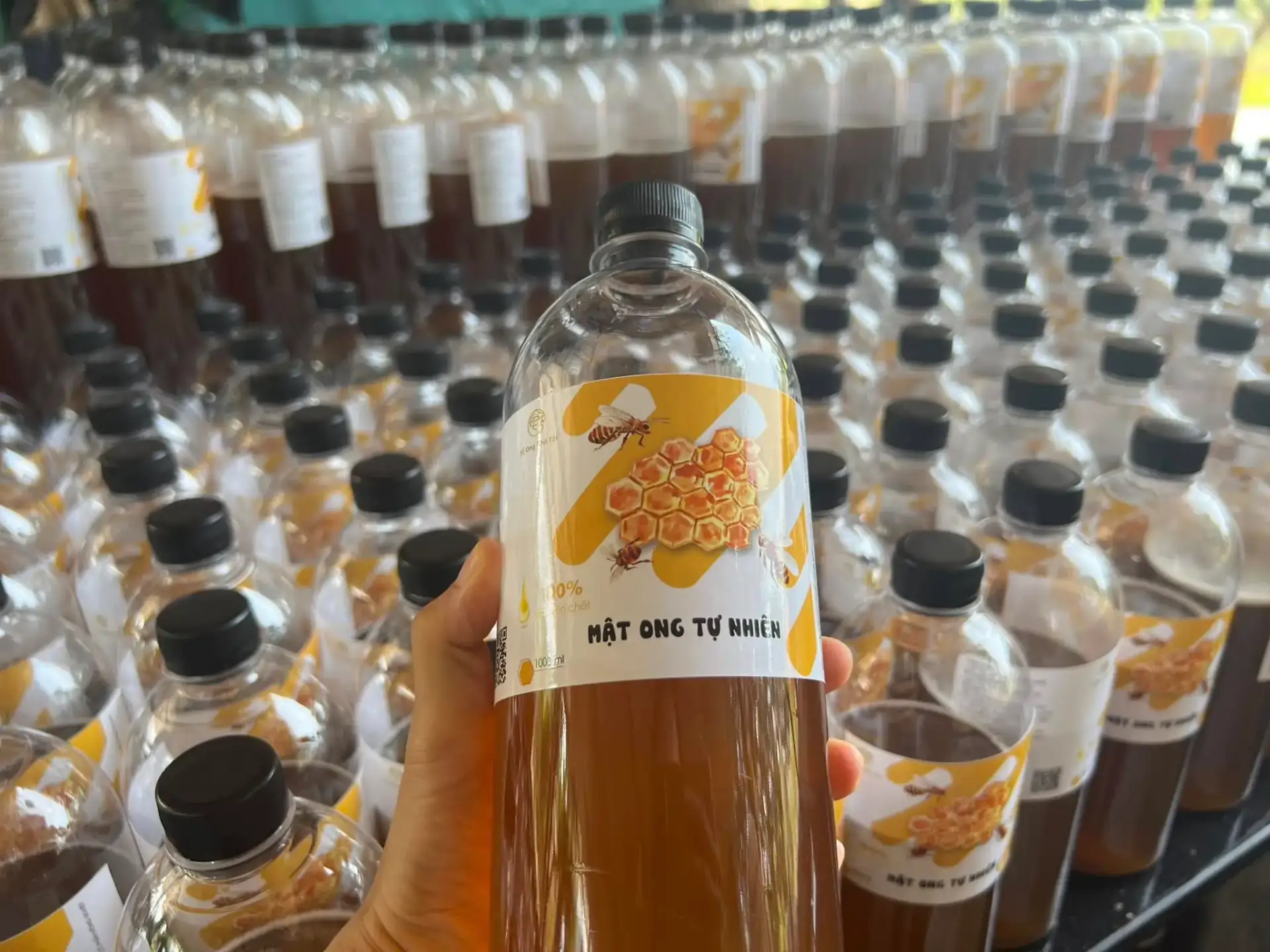 Tổ Ong Nhà Tôi