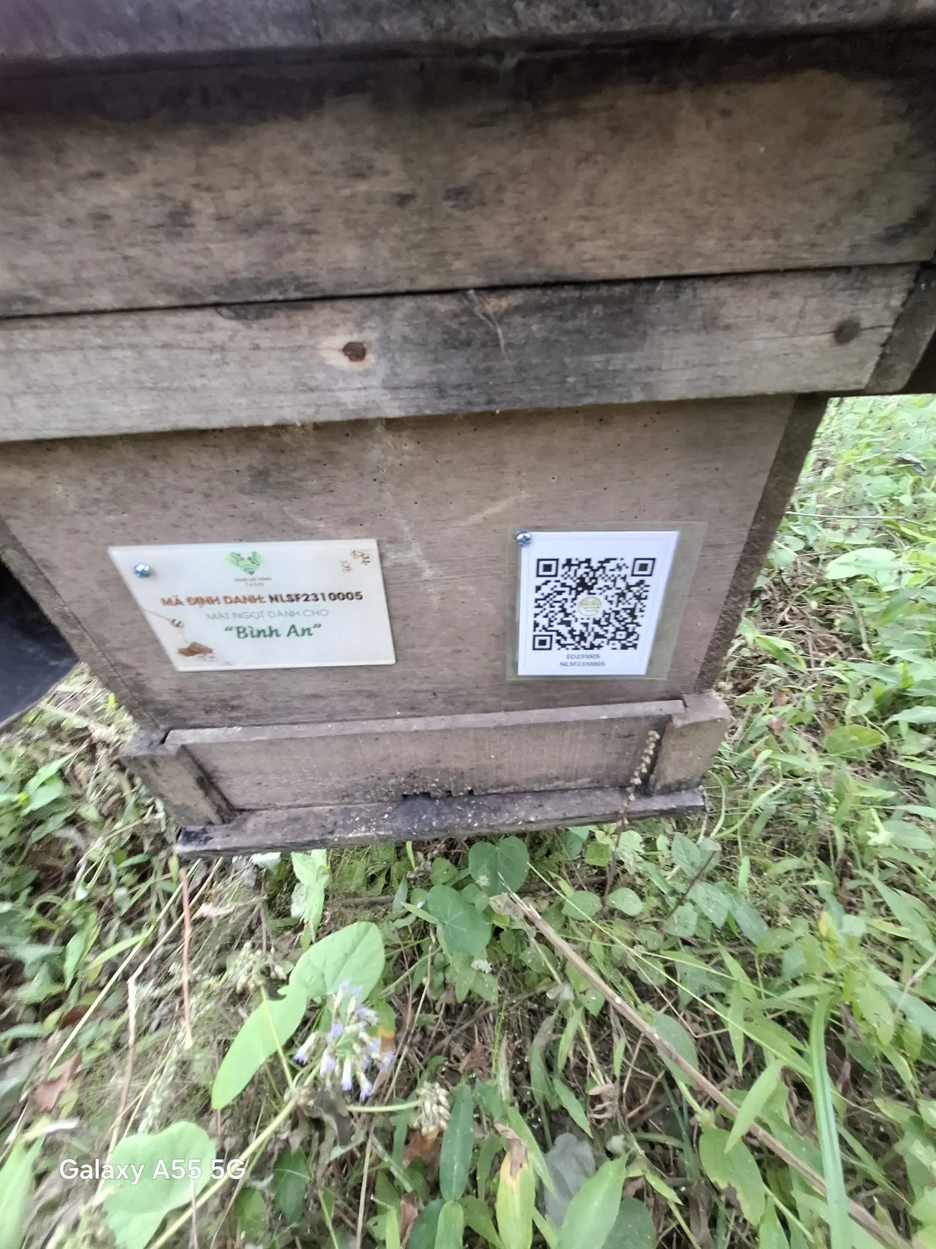 EcoNations