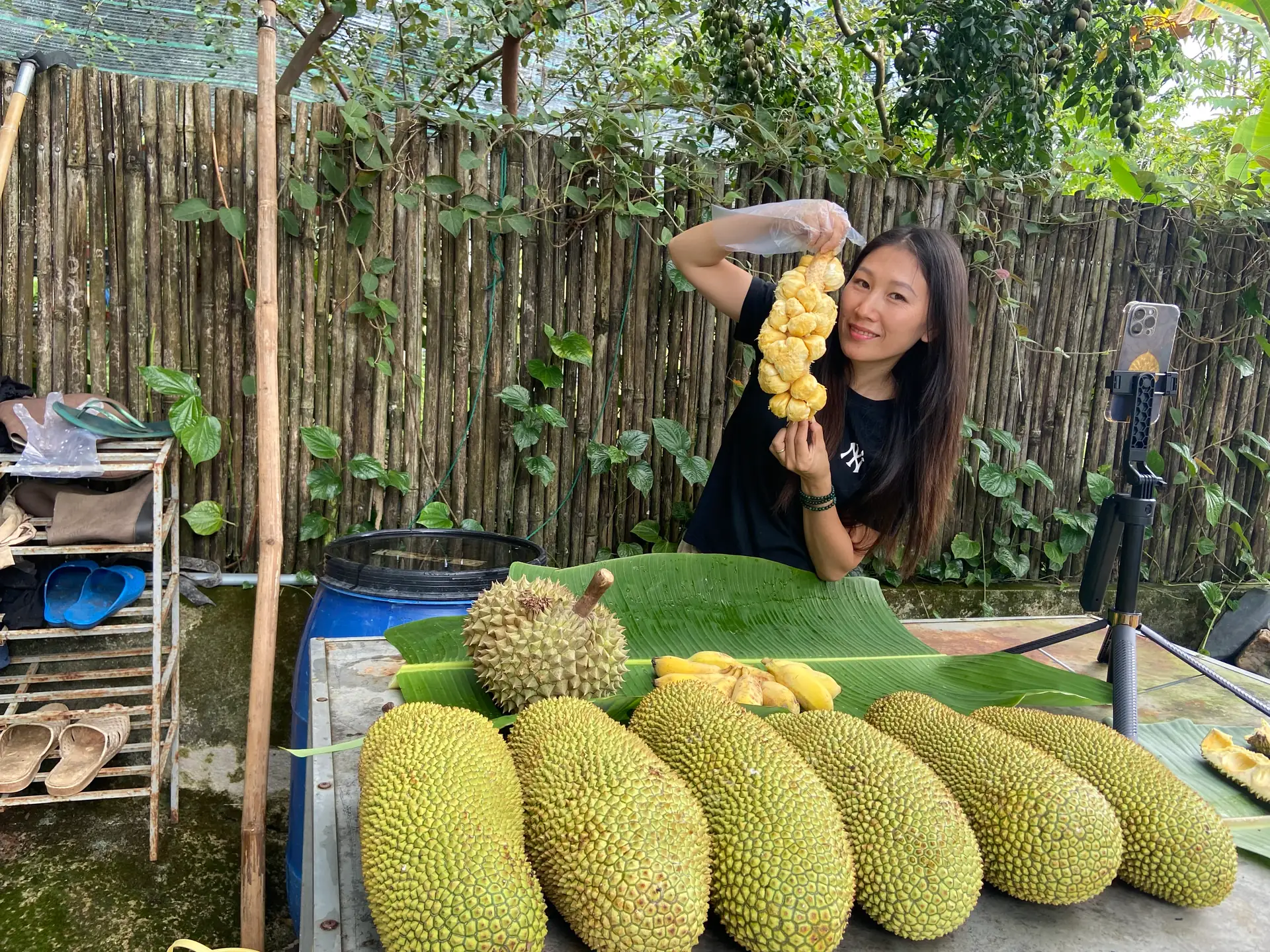 Mít Mơ Hương Vị Sầu Riêng